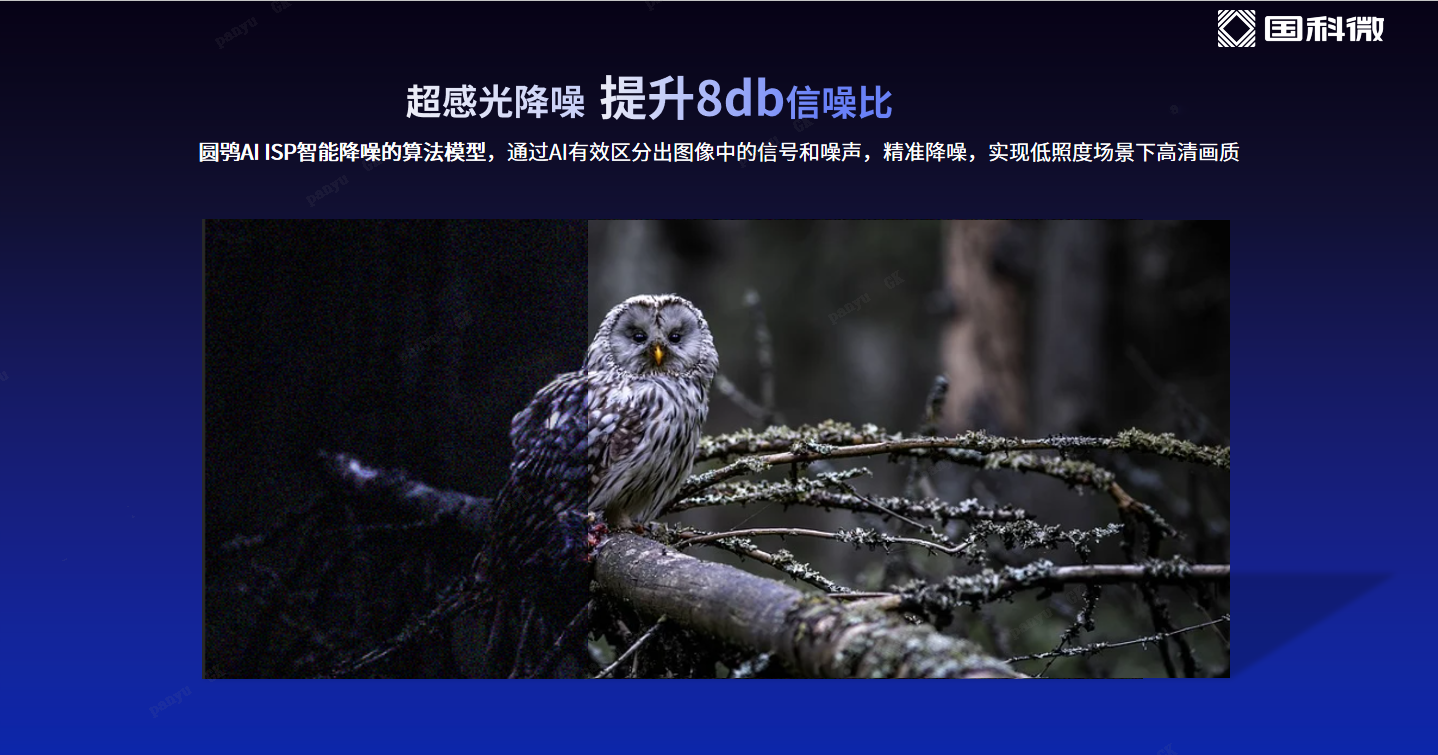 CA88手机客户端(官网)CA88会员登录入口